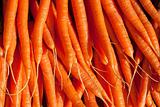 Carrots on a Market Stall