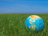 earth globe at meadow