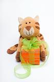 Funny toy cat with a gift