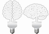 eco bulb brain, vector
