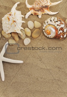 shells and stones on sand