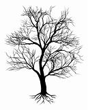 Hand drawn old tree silhouette