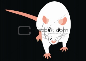 The white mouse