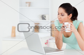 Lovely young woman looking to screen of laptop