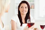 Portrait of smiling Women drinking wine