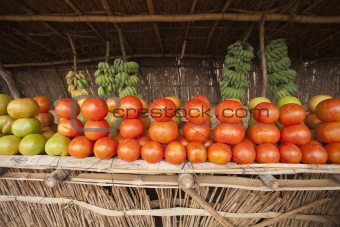 African tomatoes