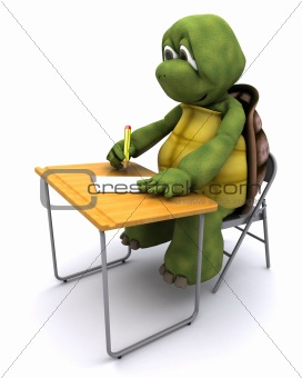 tortoise sat at school desk