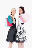 Joyful well-dressed women with shopping bags