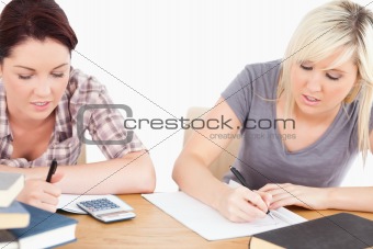 Pretty students doing homework