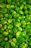 Green Brussell Sprouts in pile