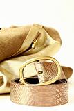female decorative gold bag and a stylish belt