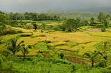 landscape of bali, indonesia