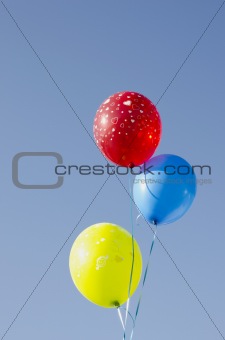 Multicolor balloons tied with strings.