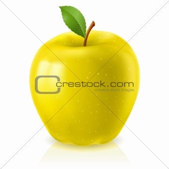 Ripe yellow apple