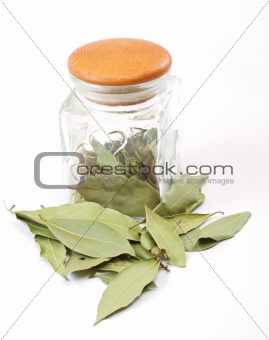 laurel leaves in the jar isolated on white