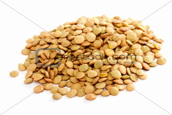 Brown lentils scattered on white background