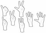 Hands and numbers. Vector isolated objects.