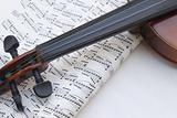 Violin notes
