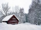 Shed in winter