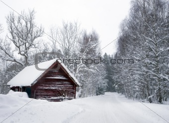 Shed in winter