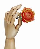 Robot hand holding rose