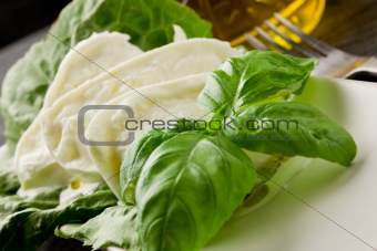 Buffalo Mozzarella with lettuce and basil