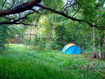 Camp in forest
