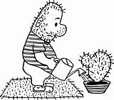 Man watering cactus