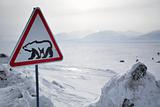 Roadsign with polar bear - Barentsburg, Svalbard