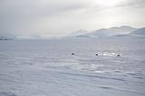 Snowmobile transport on the Arctic glaciers