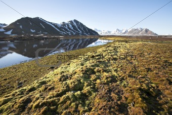 Arctic summer landscape - tundra, sea and mountains