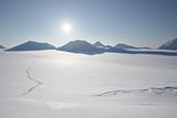 Arctic winter - tracks on the snow