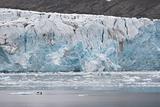 Arctic glacier landscape - Spitsbergen, Svalbard