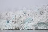 Arctic glaciers in the mist