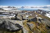 Arctic summer landscape - tundra, sea and mountains