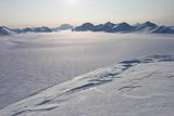 Arctic winter landscape