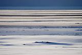 Arctic winter landscape