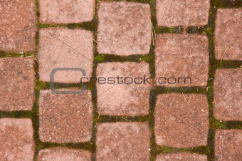 Squared pavement tiles