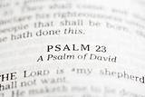 Psalm of David.