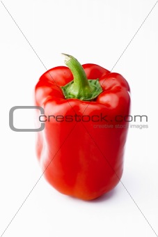 red pepper on white