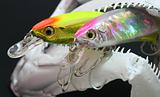 Fish Skull And Lures