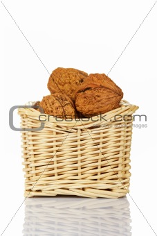 Walnuts in the basket