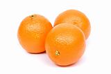 Orange  (Citrus)