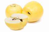 Apple-quince  (Cydonia)