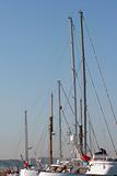 yacht sails