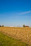 Midwestern Fall Farmland
