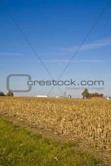 Midwestern Fall Farmland