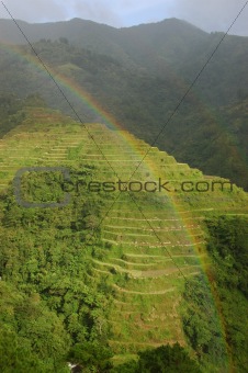 Rainbow on rice terrace
