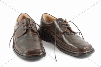 Two brown shoes