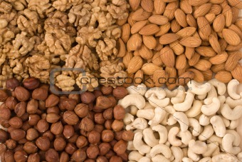 Different  nuts (almons, cashews, walnuts and filbers) close up
